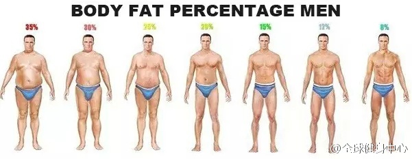 脂肪 率 基準 体
