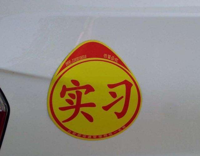 驾驶证不满一年,一个人上高速被交警拦住会怎么处罚?