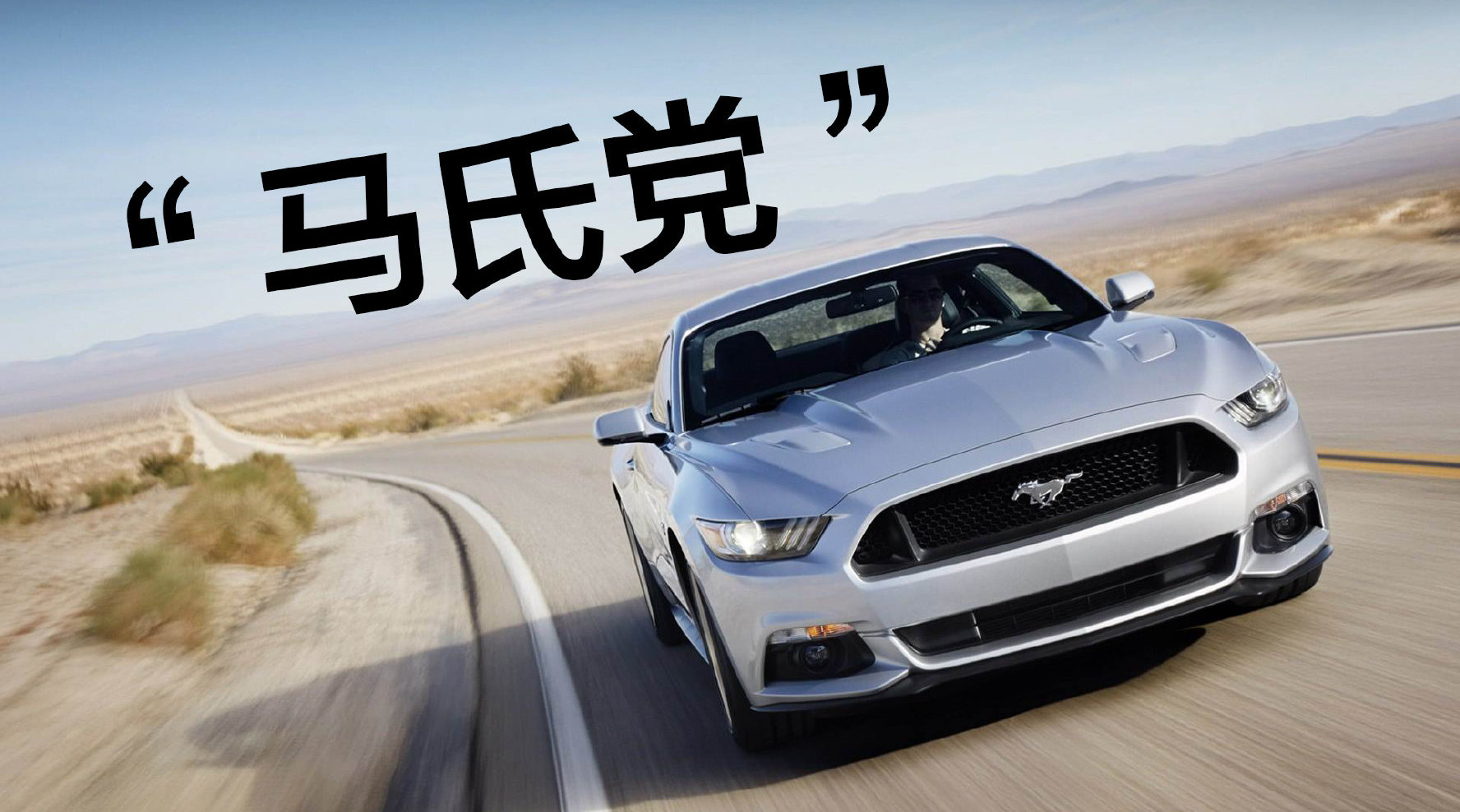 豆车一分钟：曾经名叫做野马，现在被迫叫Mustang