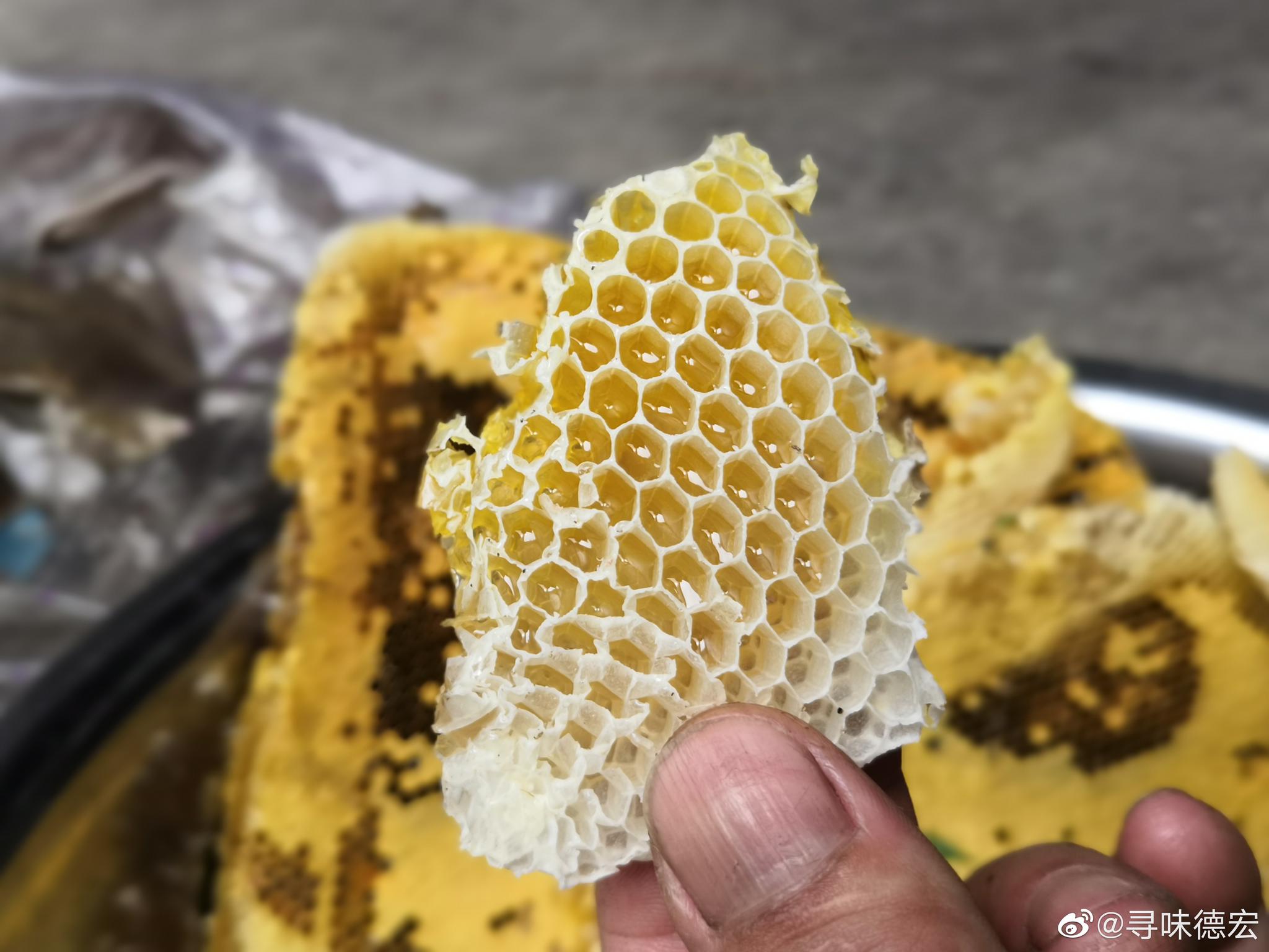 我自己家的蜂场 送朋友 送纯蜂蜜可以吗 (自己家养的蜜蜂有毒吗)