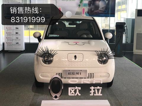 萌宠来袭，新一代电动小车欧拉R1