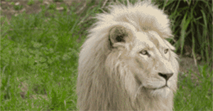 让你心痒痒的8家猎奇酒店,地球已经无法阻挡最时髦的旅行者