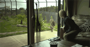 让你心痒痒的8家猎奇酒店,地球已经无法阻挡最时髦的旅行者