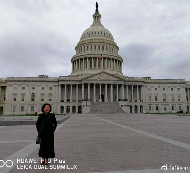 安徽省十大美女书画家