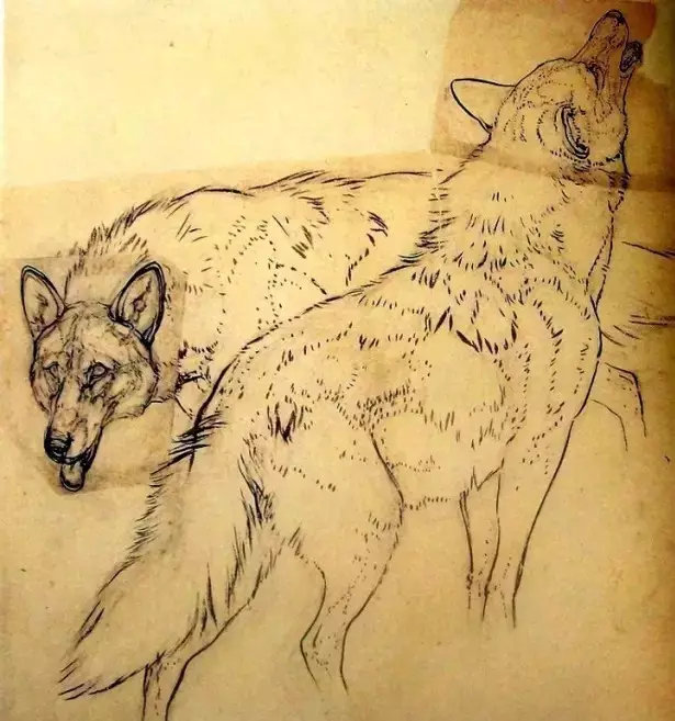 �й���ʦ�ǵ��ָ壬����֪���Լ��������ˣ�