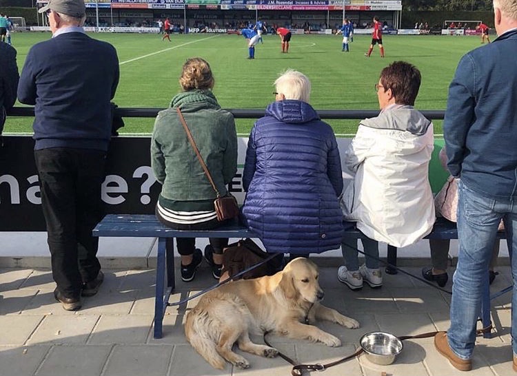 英格兰非职业联赛(non-league)场边那些特殊的