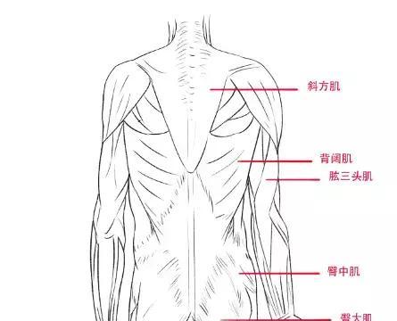 纤维肌痛综合征找陈晓丽大夫看管用吗？