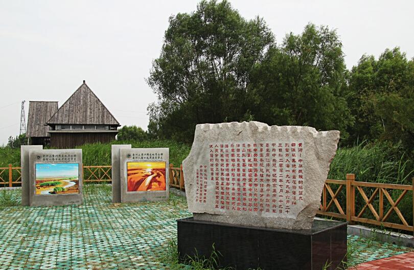 山东省第五大城市角逐,临沂、济宁、东营