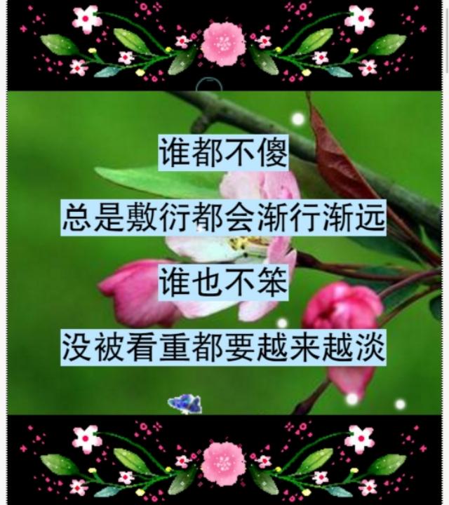 错就错在太爱你，句句入心！爱一个人，太苦了，爱错了你，伤透了