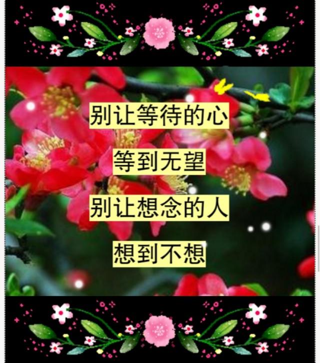 错就错在太爱你，句句入心！爱一个人，太苦了，爱错了你，伤透了
