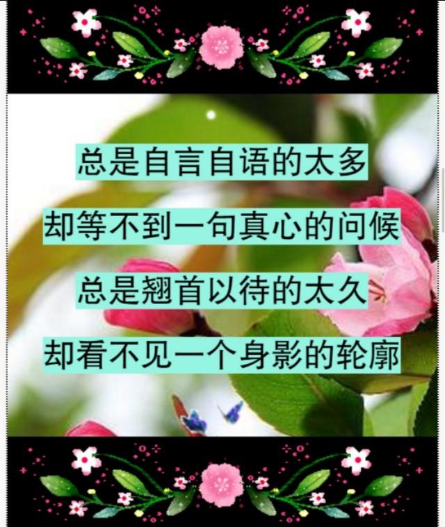 错就错在太爱你，句句入心！爱一个人，太苦了，爱错了你，伤透了