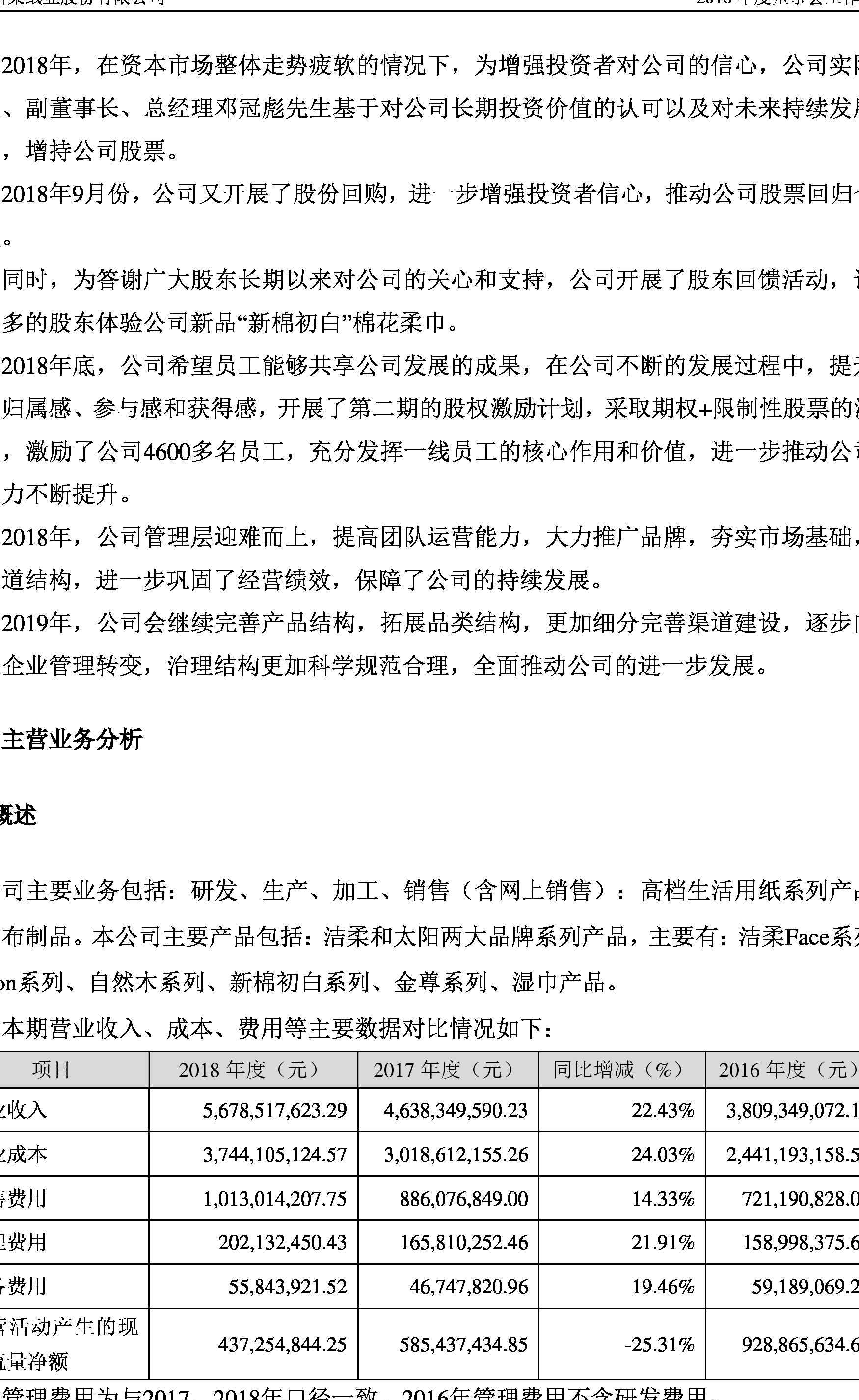 中顺洁柔:2018年度董事会工作报告