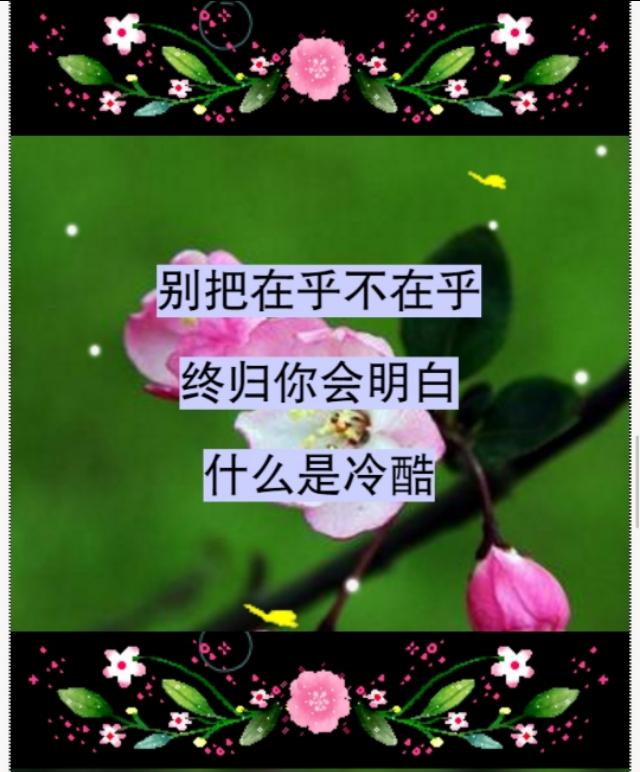 错就错在太爱你，句句入心！爱一个人，太苦了，爱错了你，伤透了