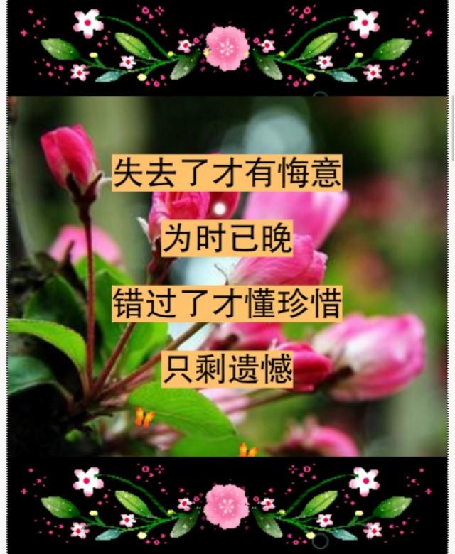 错就错在太爱你，句句入心！爱一个人，太苦了，爱错了你，伤透了