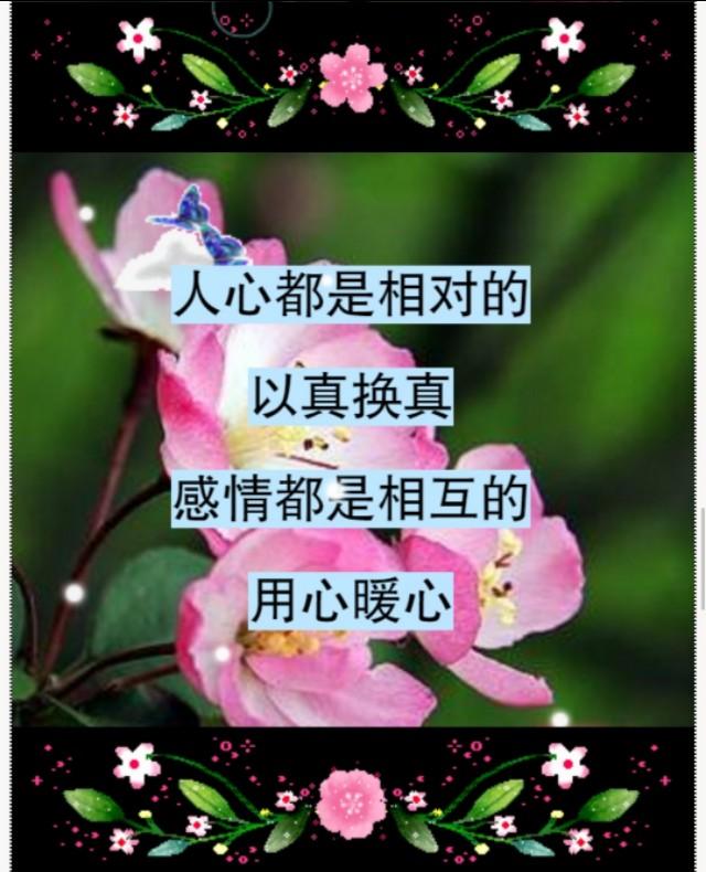 错就错在太爱你，句句入心！爱一个人，太苦了，爱错了你，伤透了