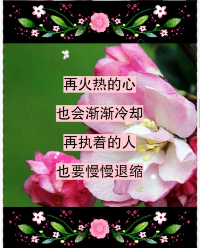 错就错在太爱你，句句入心！爱一个人，太苦了，爱错了你，伤透了