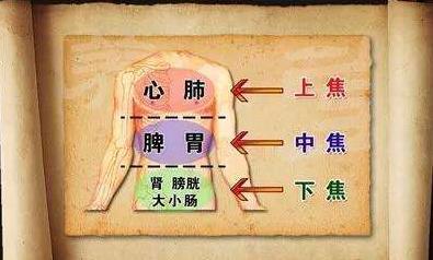 健康十二时辰——亥时猪拱槽，三焦经当令