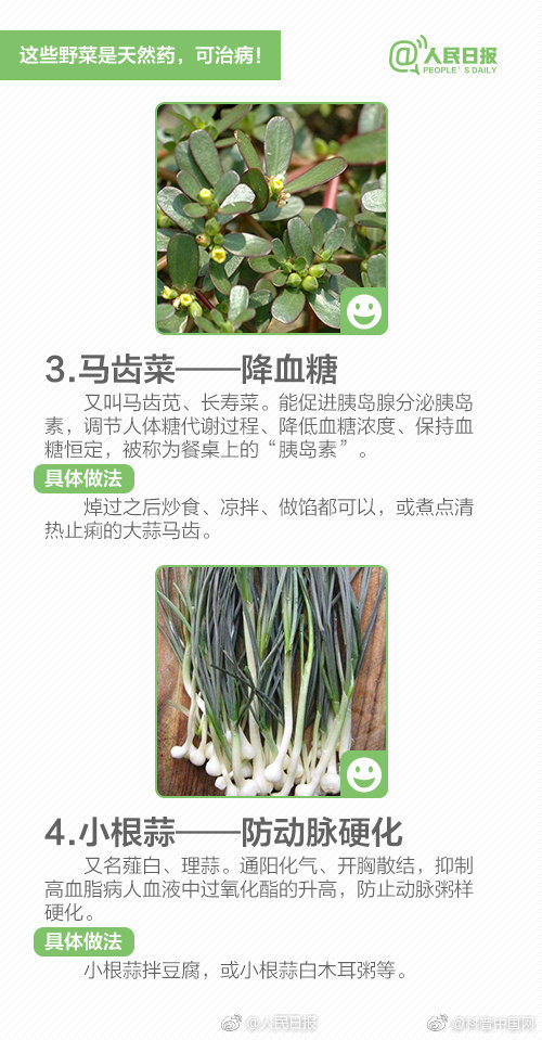 提醒！“野菜”不能随便吃，有的能致命