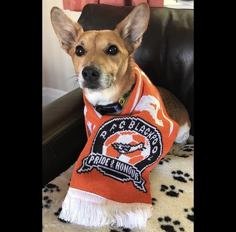 英格兰非职业联赛(non-league)场边那些特殊的