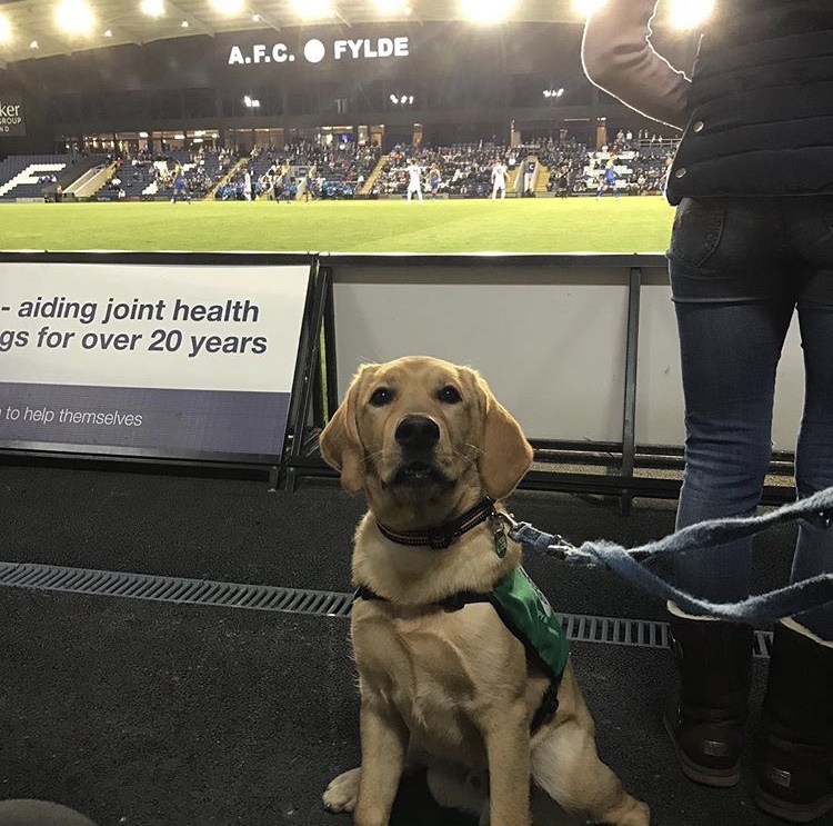 英格兰非职业联赛(non-league)场边那些特殊的