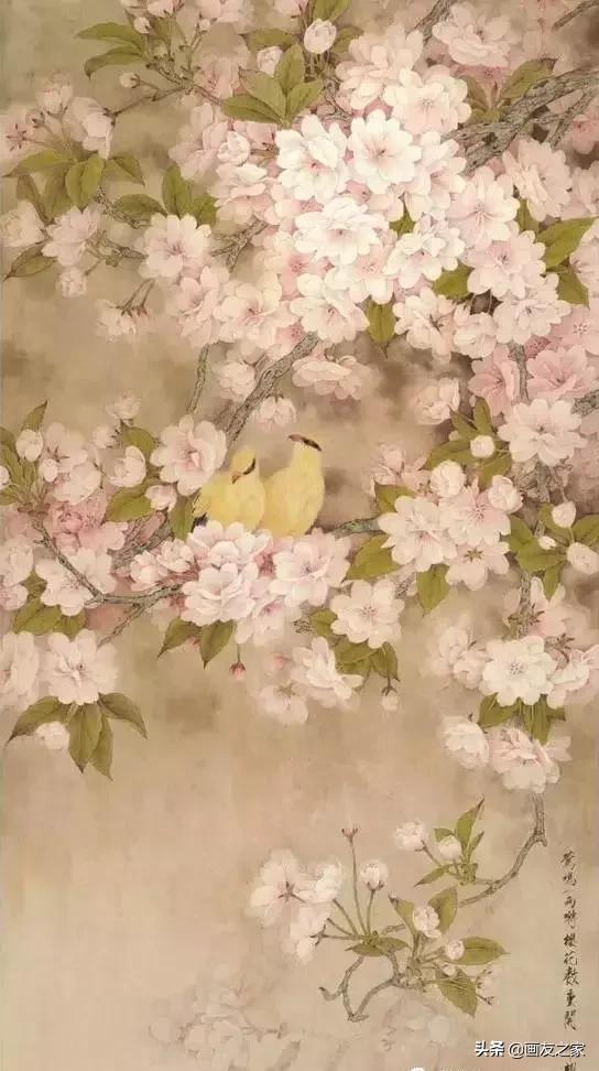 技法教程|工笔樱花画法解析