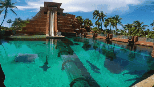 三亚从不缺奢华酒店,三亚亚特兰蒂斯,强占网红酒店Top 1