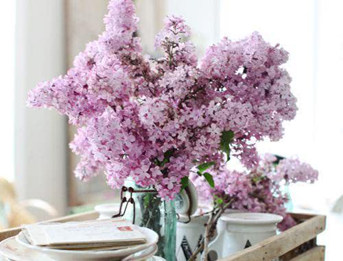 哪个时辰出生的人,人生先苦后甜,先辛苦后享福 哪个时辰出生的人,人生先苦后甜,先辛苦后享福