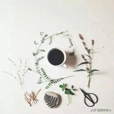 孤单是一个人的狂欢，狂欢是一个人的孤单