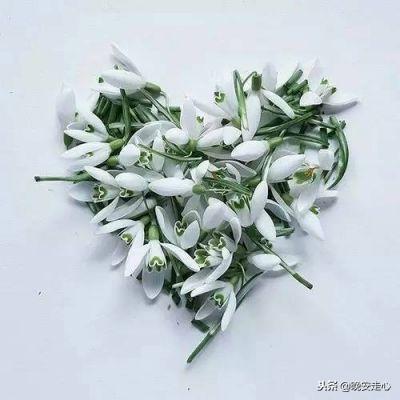 孤单是一个人的狂欢，狂欢是一个人的孤单