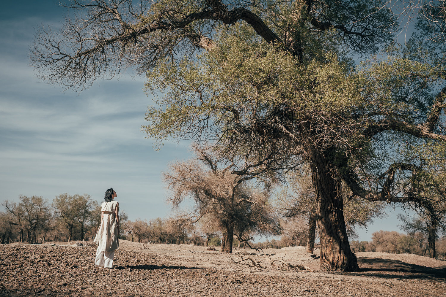 绿色注定是今年的流行色，先是《绿皮书》强势夺魁