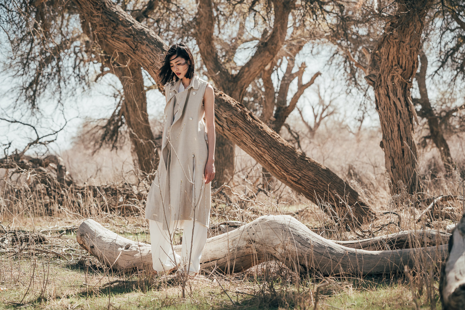 绿色注定是今年的流行色，先是《绿皮书》强势夺魁