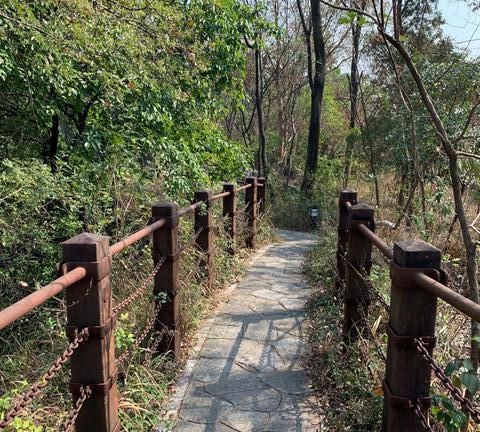 松山湖八景好玩2020_八景2020年元旦交流有好戏看了!“采茶戏+黄梅戏”连