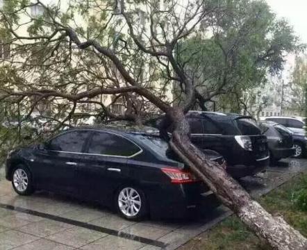 为什么很多人都不买车损险？听一老司机解释后，车主：?.