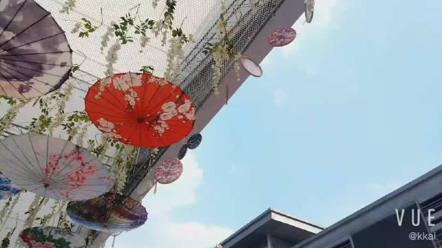 看完这个视频你一定能找到我们 花红草绿