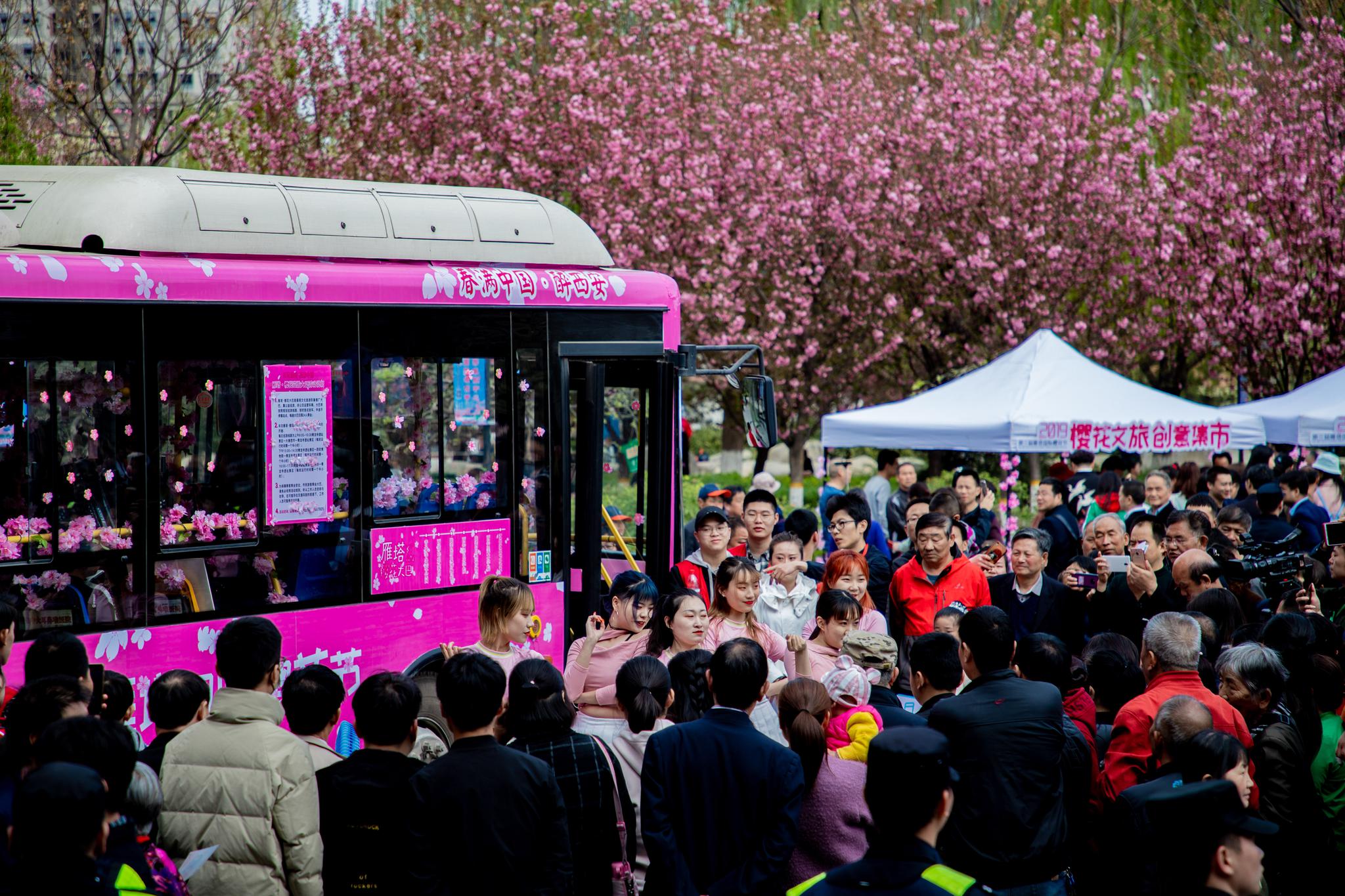 第三届雁塔国际樱花节启动 樱花大巴巡游开启春游新玩法