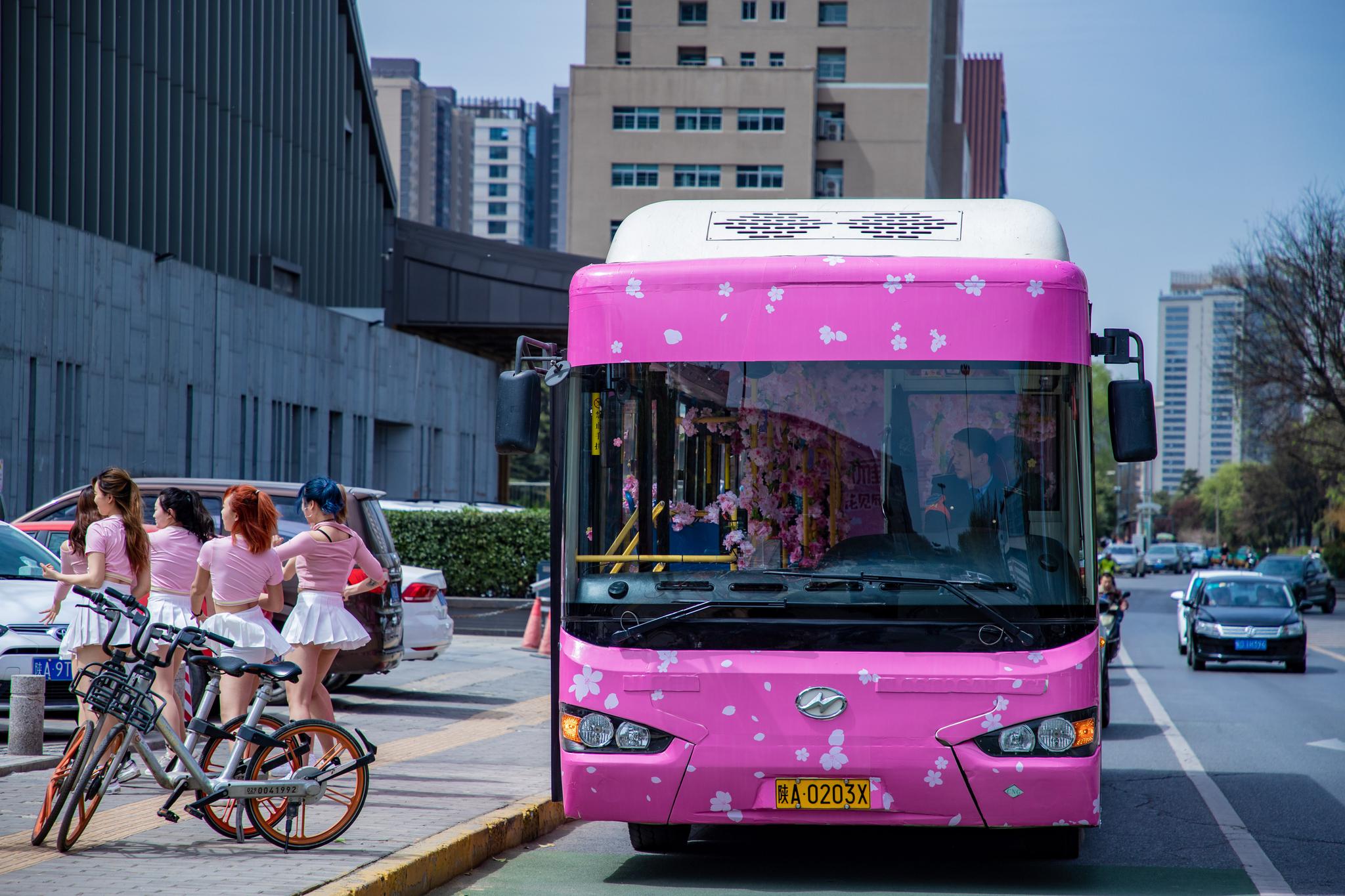 第三届雁塔国际樱花节启动 樱花大巴巡游开启春游新玩法