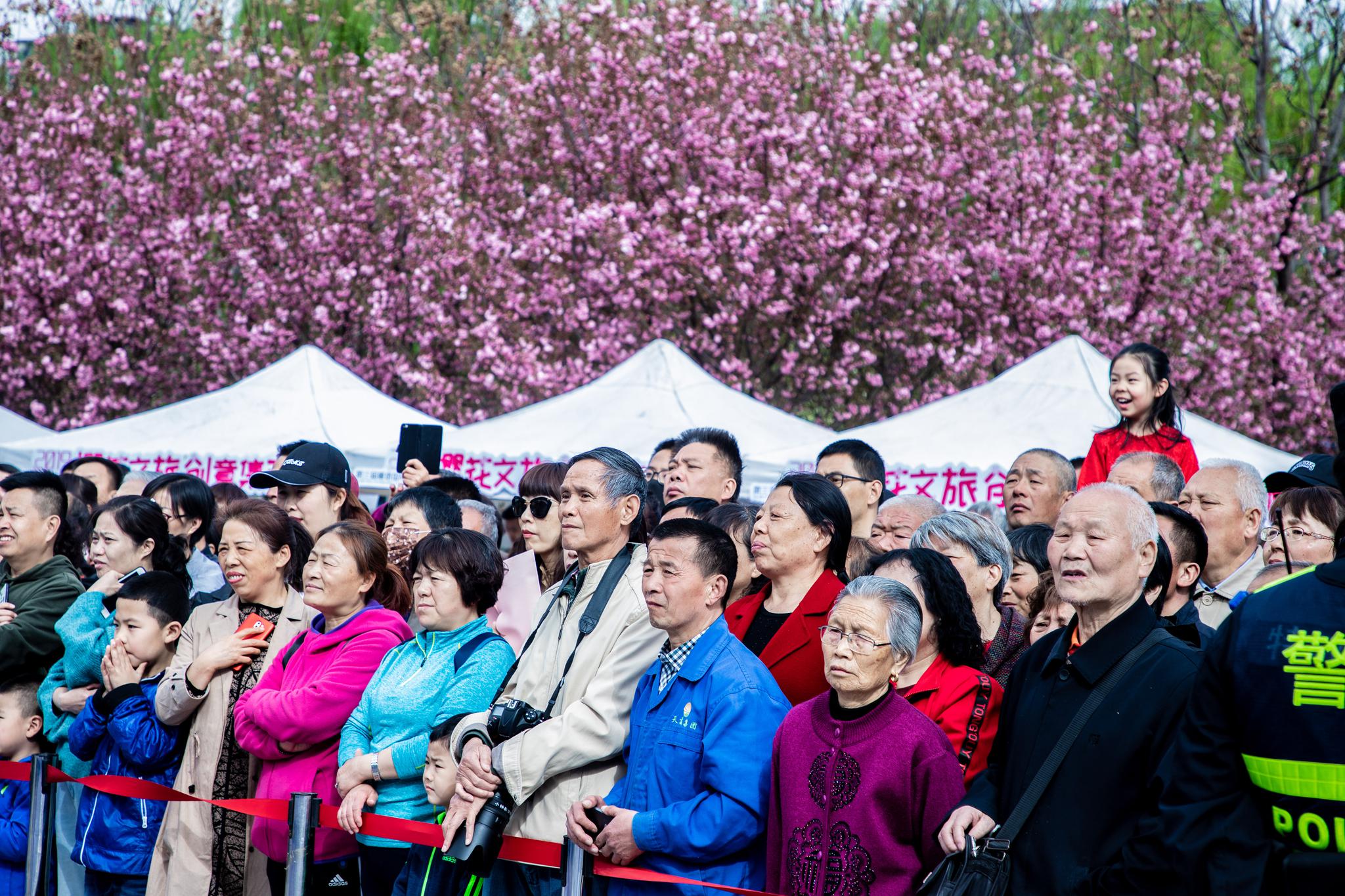 第三届雁塔国际樱花节启动 樱花大巴巡游开启春游新玩法