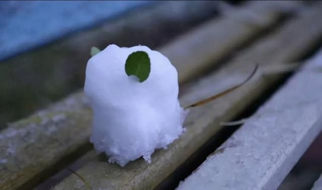 天气|雨雪将至，静海人请注意！