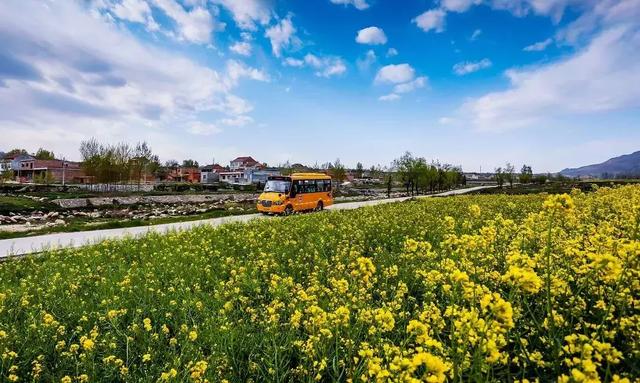 100张关于西安的老照片,你都看过吗?