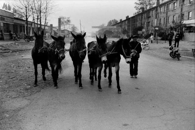 100张关于西安的老照片,你都看过吗?