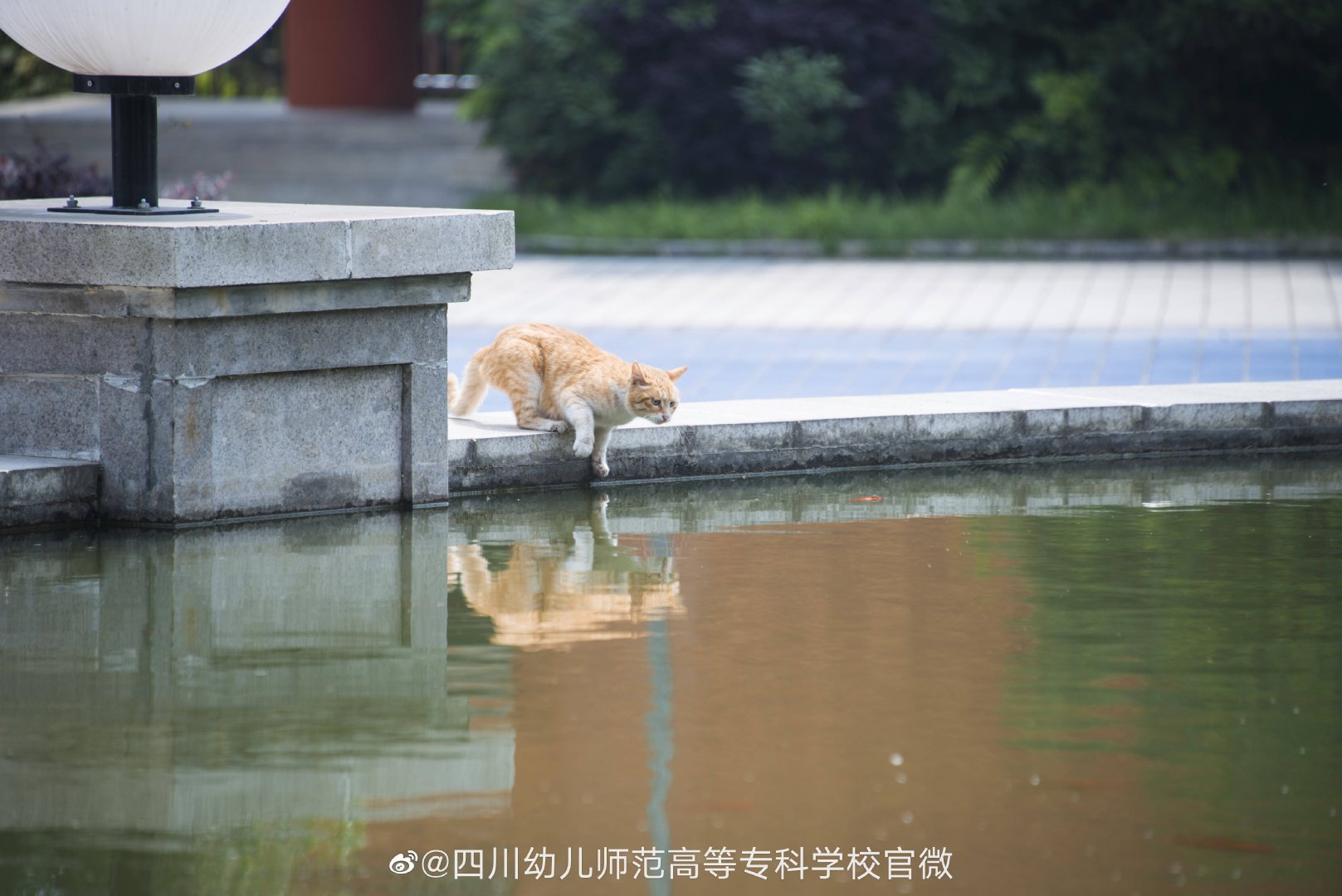 四川幼师专科学排名_学幼师,当然选最专业的!四川幼儿师范高等(2)
