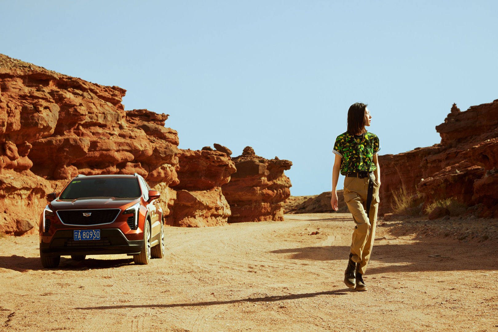 绿色注定是今年的流行色，先是《绿皮书》强势夺魁