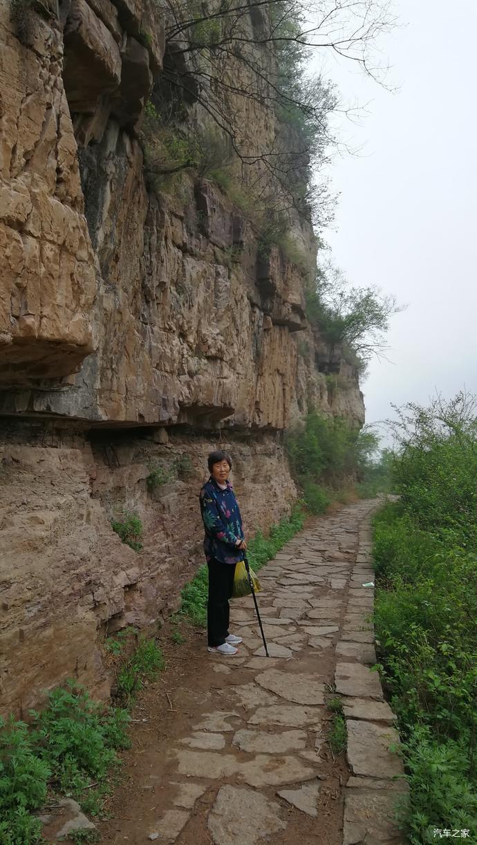 雾朦,谷幽,树翠,水清,顺溪而下,细雨中游天平山风景区