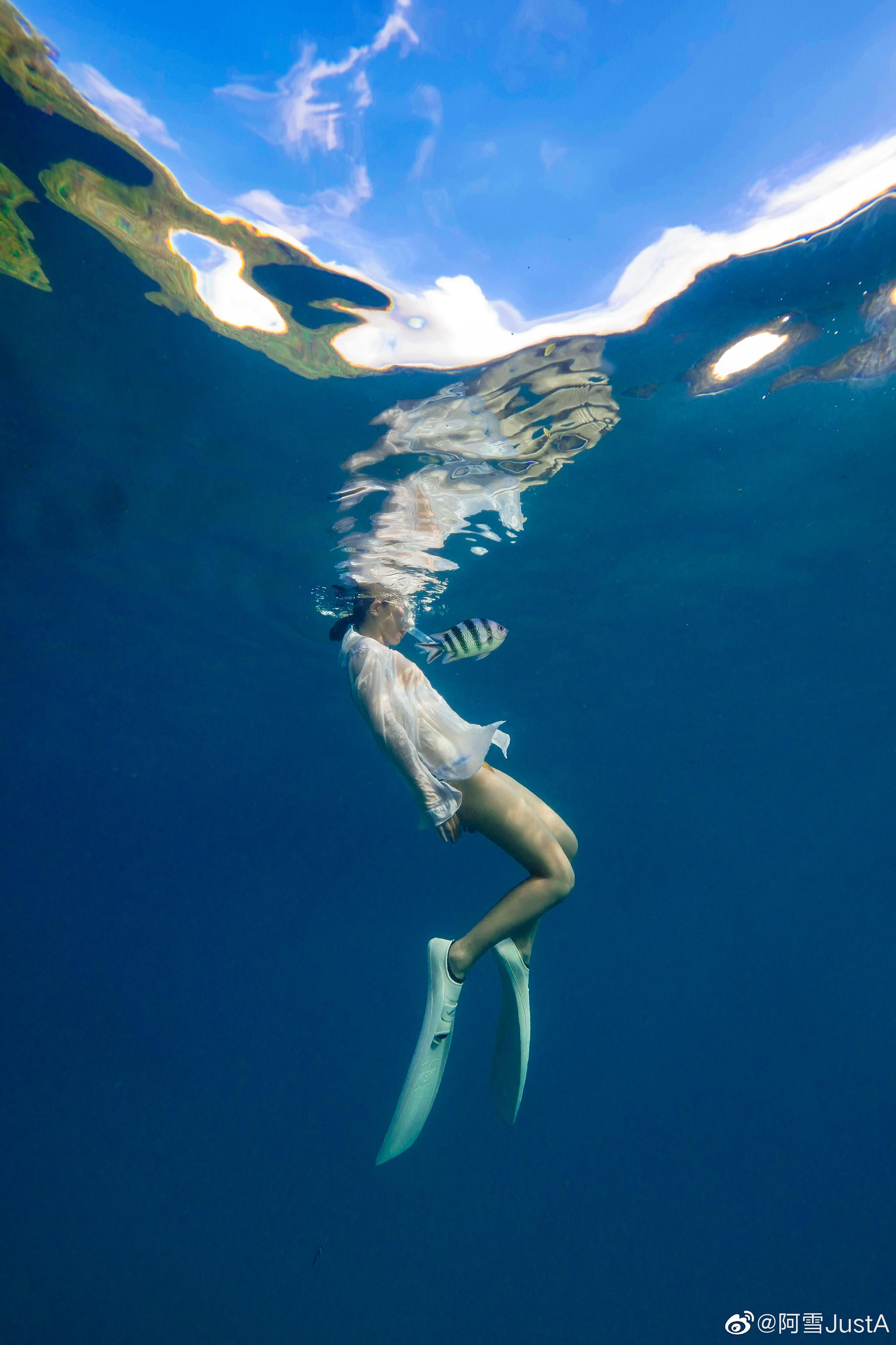 想做大海里的一条鱼~穿梭在五彩缤纷的