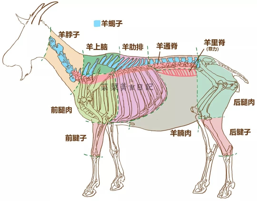 羊身上哪个部位便宜肉又嫩?别被菜市场老板骗了