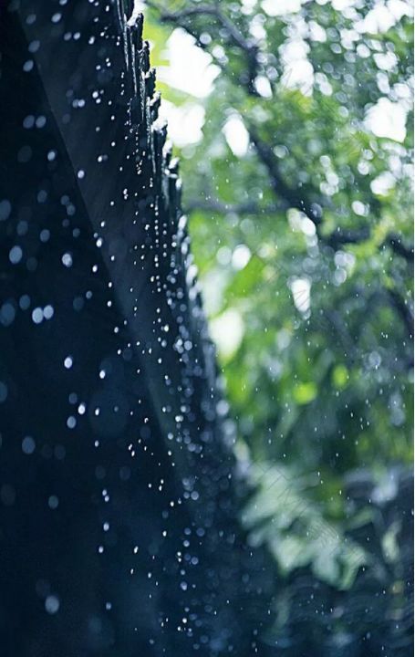 【诗词鉴赏】在夏日中听雨,唯美一段又一段的时光!