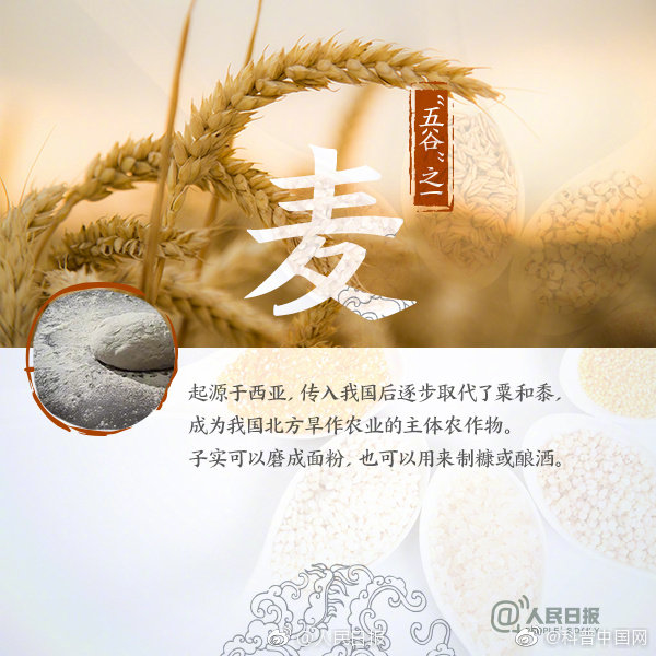 长知识！9图送给“五谷不分”的你