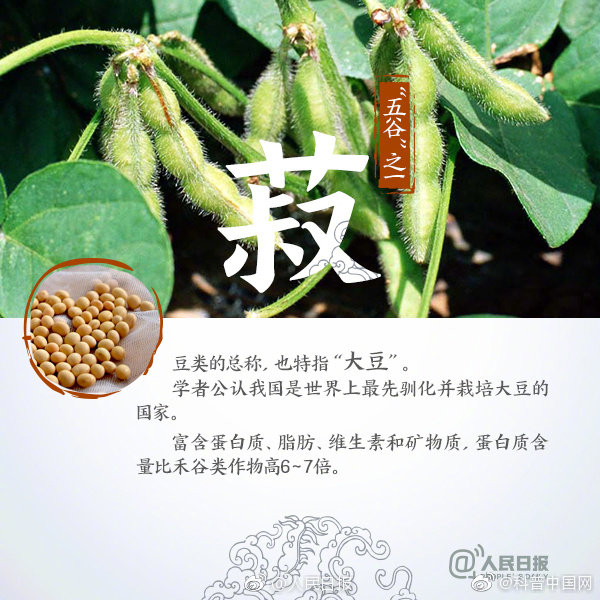 长知识！9图送给“五谷不分”的你