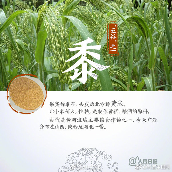 长知识！9图送给“五谷不分”的你