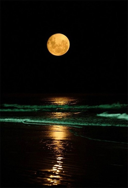 海上月是天上月